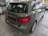 Mercedes-Benz B-Klasse bei Gebrauchtwagen.expert - Abbildung (7 / 15)