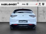 Alfa Romeo Stelvio bei Gebrauchtwagen.expert - Abbildung (5 / 15)