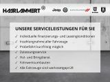 Jeep Wrangler bei Gebrauchtwagen.expert - Abbildung (15 / 15)