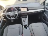 VW Golf VIII bei Gebrauchtwagen.expert - Abbildung (3 / 15)