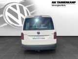 VW Caddy bei Gebrauchtwagen.expert - Abbildung (4 / 8)