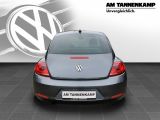 VW Beetle bei Gebrauchtwagen.expert - Abbildung (4 / 7)