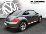 VW Beetle bei Gebrauchtwagen.expert - Abbildung (5 / 7)