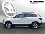 Skoda Karoq bei Gebrauchtwagen.expert - Abbildung (2 / 8)