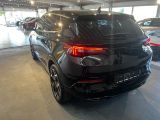 Opel Grandland X bei Gebrauchtwagen.expert - Abbildung (5 / 15)