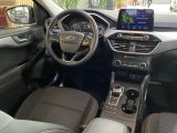 Ford Kuga bei Gebrauchtwagen.expert - Abbildung (12 / 15)