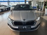 Skoda Octavia bei Gebrauchtwagen.expert - Abbildung (2 / 15)