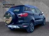 Ford EcoSport bei Gebrauchtwagen.expert - Abbildung (2 / 14)