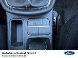 Ford Puma bei Gebrauchtwagen.expert - Abbildung (12 / 15)