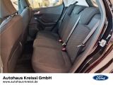 Ford Fiesta bei Gebrauchtwagen.expert - Abbildung (11 / 15)