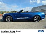 Ford Mustang bei Gebrauchtwagen.expert - Abbildung (2 / 14)