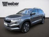 Skoda Karoq bei Gebrauchtwagen.expert - Abbildung (3 / 15)