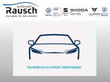 VW Golf VIII bei Gebrauchtwagen.expert - Abbildung (2 / 7)