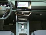 Cupra Formentor bei Gebrauchtwagen.expert - Abbildung (14 / 15)