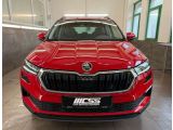 Skoda Karoq bei Gebrauchtwagen.expert - Abbildung (7 / 15)