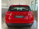 Skoda Karoq bei Gebrauchtwagen.expert - Abbildung (14 / 15)