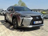 Lexus UX bei Gebrauchtwagen.expert - Abbildung (6 / 15)