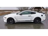 Ford Mustang bei Gebrauchtwagen.expert - Abbildung (14 / 15)