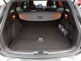 Ford Focus ST bei Gebrauchtwagen.expert - Abbildung (12 / 15)