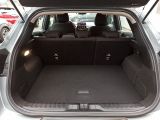 Ford Puma bei Gebrauchtwagen.expert - Abbildung (12 / 15)