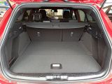 Ford Focus ST bei Gebrauchtwagen.expert - Abbildung (12 / 15)