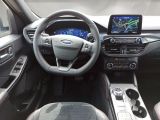 Ford Kuga bei Gebrauchtwagen.expert - Abbildung (10 / 15)