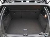 Audi Q2 bei Gebrauchtwagen.expert - Abbildung (14 / 15)