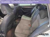 Skoda Octavia bei Gebrauchtwagen.expert - Abbildung (6 / 10)