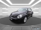 VW Beetle bei Gebrauchtwagen.expert - Abbildung (2 / 15)