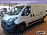 Fiat Ducato Maxi bei Gebrauchtwagen.expert - Abbildung (2 / 10)