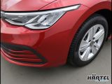 VW Golf bei Gebrauchtwagen.expert - Abbildung (4 / 15) VW Golf bei Gebrauchtwagen.expert - Abbildung (4 / 15)