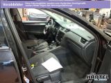 Skoda Octavia bei Gebrauchtwagen.expert - Abbildung (4 / 10)