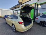 Skoda Superb bei Gebrauchtwagen.expert - Abbildung (11 / 15)
