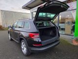 Skoda Kodiaq bei Gebrauchtwagen.expert - Abbildung (14 / 15)