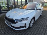 Skoda Octavia bei Gebrauchtwagen.expert - Abbildung (3 / 15) Skoda Octavia bei Gebrauchtwagen.expert - Abbildung (3 / 15)