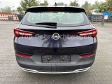 Opel Grandland X bei Gebrauchtwagen.expert - Abbildung (6 / 15)