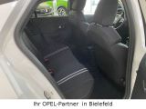 Opel Corsa bei Gebrauchtwagen.expert - Abbildung (14 / 15)