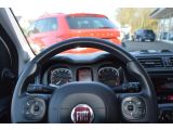 Fiat Panda bei Gebrauchtwagen.expert - Abbildung (11 / 13)