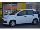 Fiat Panda bei Gebrauchtwagen.expert - Abbildung (2 / 13)