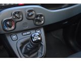 Fiat Panda bei Gebrauchtwagen.expert - Abbildung (13 / 13)