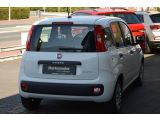 Fiat Panda bei Gebrauchtwagen.expert - Abbildung (4 / 13)