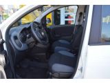 Fiat Panda bei Gebrauchtwagen.expert - Abbildung (8 / 13)