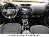 Kia Soul bei Gebrauchtwagen.expert - Abbildung (13 / 15)