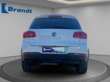 VW Tiguan bei Gebrauchtwagen.expert - Abbildung (6 / 15)