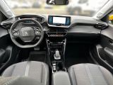 Peugeot 208 bei Gebrauchtwagen.expert - Abbildung (11 / 14)