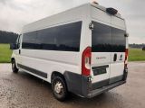 Fiat Ducato bei Gebrauchtwagen.expert - Abbildung (6 / 15) Fiat Ducato bei Gebrauchtwagen.expert - Abbildung (6 / 15)