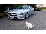 Mercedes-Benz SL-Klasse bei Gebrauchtwagen.expert - Abbildung (7 / 11)