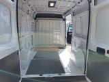 Fiat Ducato bei Gebrauchtwagen.expert - Abbildung (13 / 15)