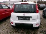 Fiat Panda bei Gebrauchtwagen.expert - Abbildung (6 / 15)