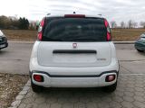 Fiat Panda bei Gebrauchtwagen.expert - Abbildung (5 / 15)